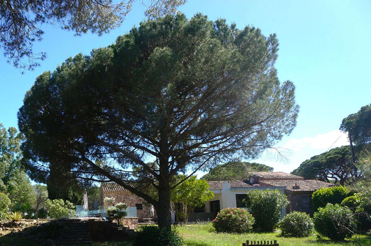 Maison à FREJUS