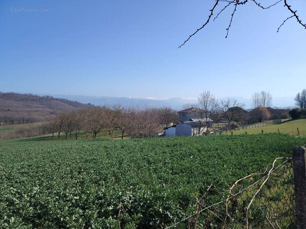 Maison 90 m2  4 pièces avec terrain 1200 m2 - photo 5