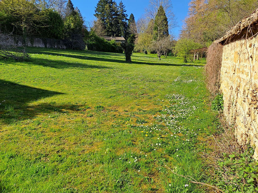 Terrain à SAINT-CYR-AU-MONT-D'OR