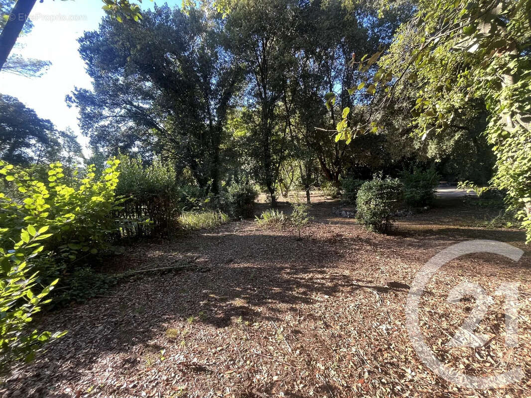 Terrain à ROQUEFORT-LES-PINS