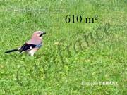 Terrain à BETHENIVILLE