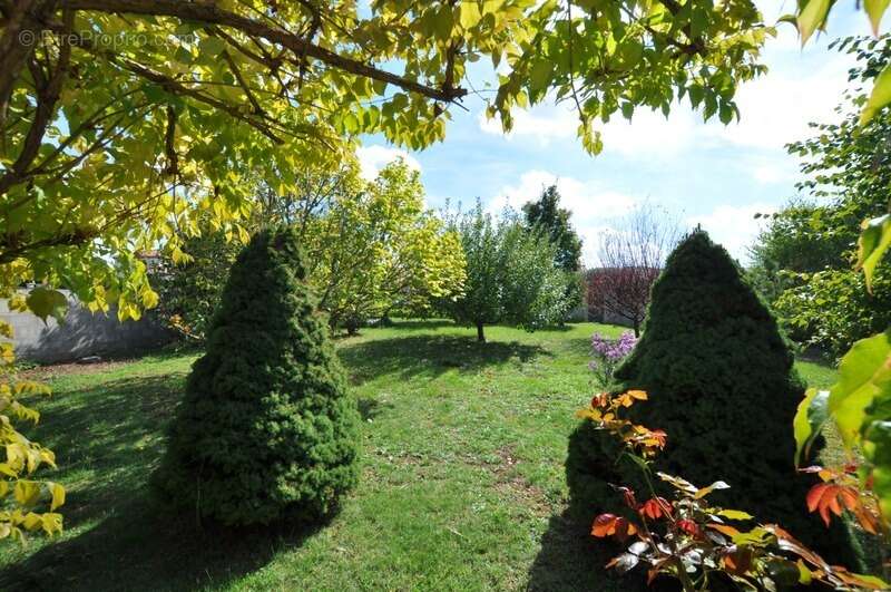 Maison à SAINT-SORLIN-EN-VALLOIRE