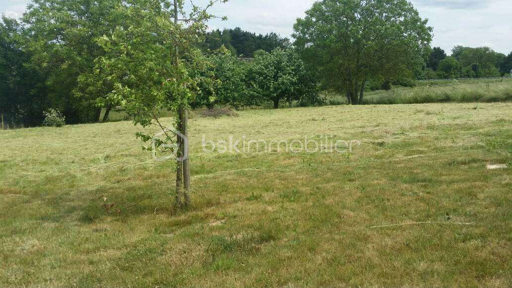 Terrain Constructible de 1095 m² à Savigny sur Clairis - photo 3