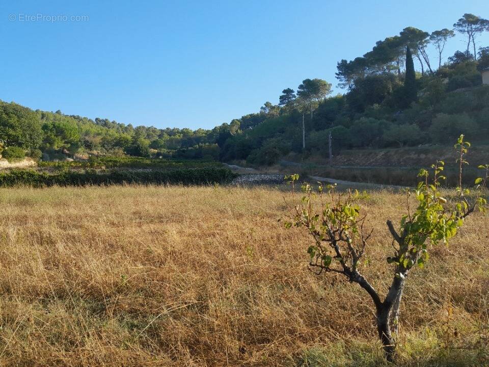 Terrain à COTIGNAC
