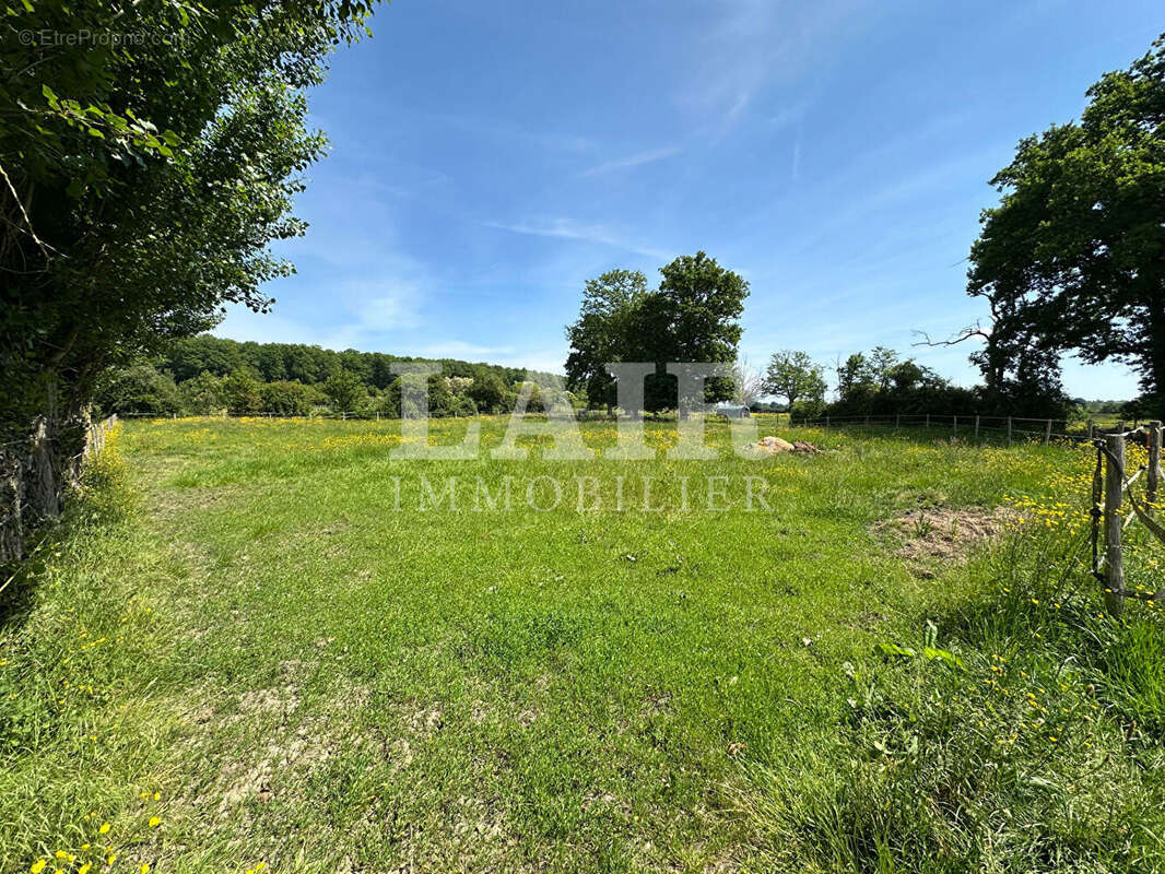 Maison à LE MELE-SUR-SARTHE