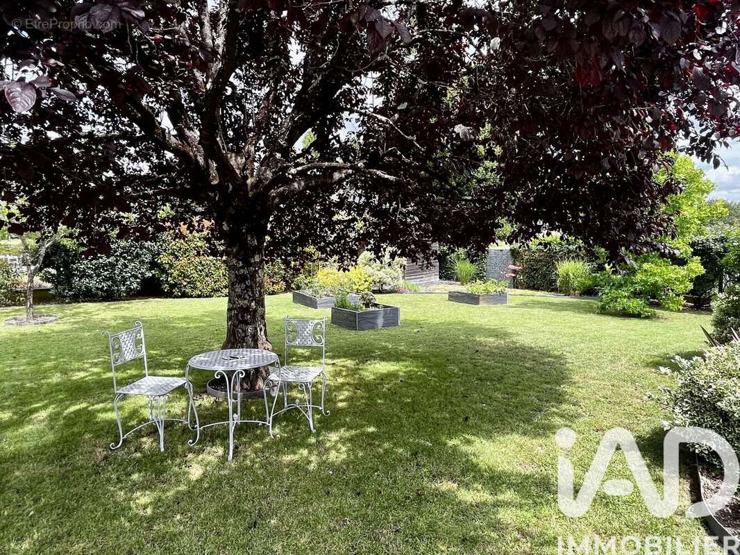 Photo 4 - Maison à ARTANNES-SUR-INDRE
