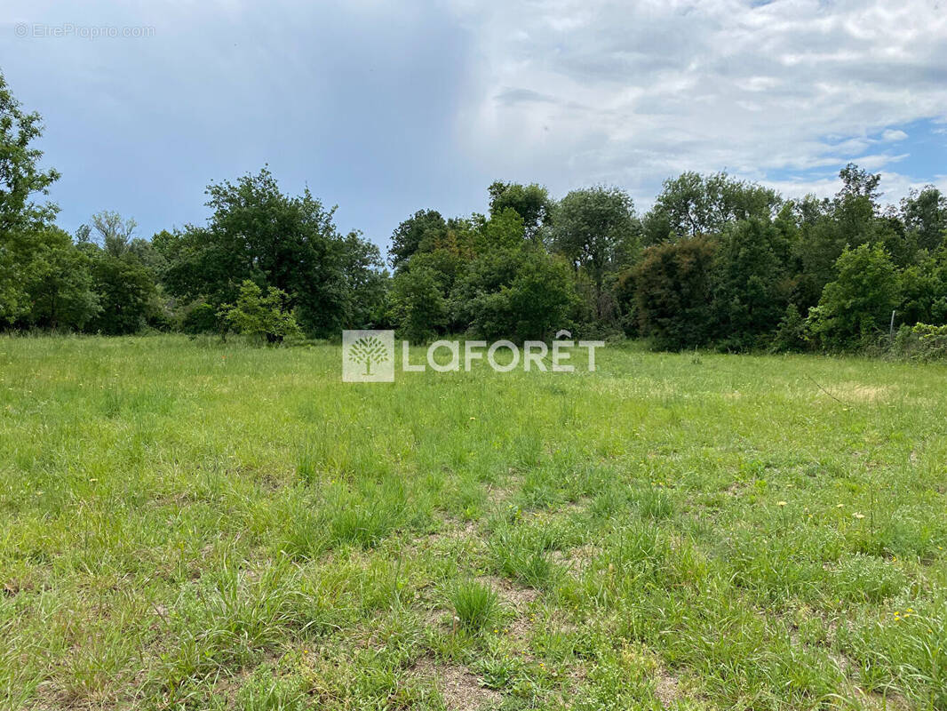 Terrain à LE SOLER