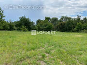 Terrain à LE SOLER