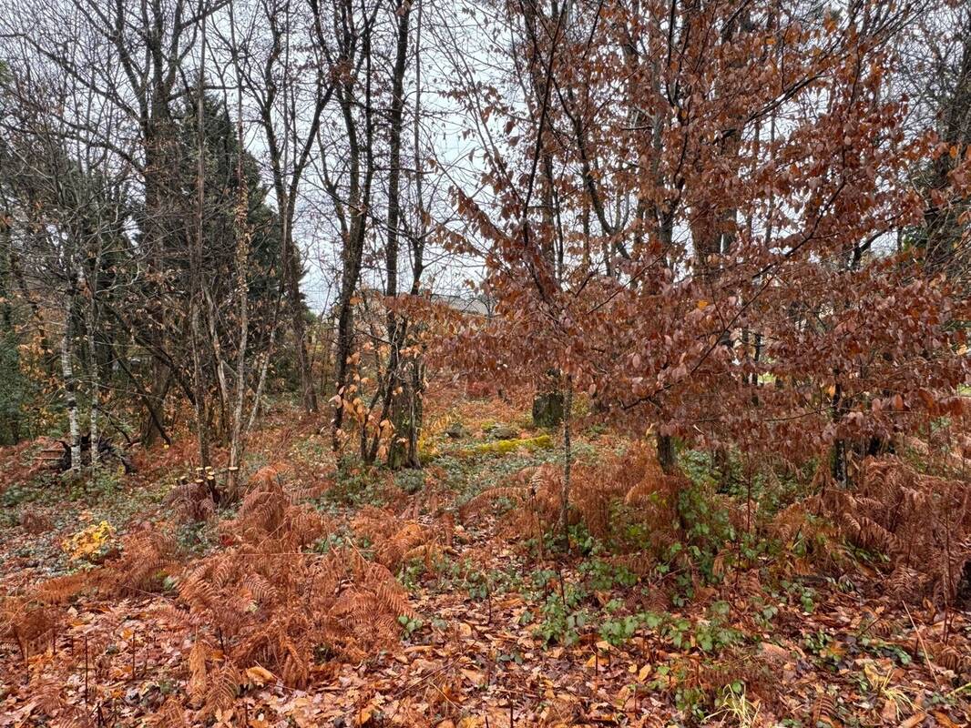 Terrain à CHANCELADE