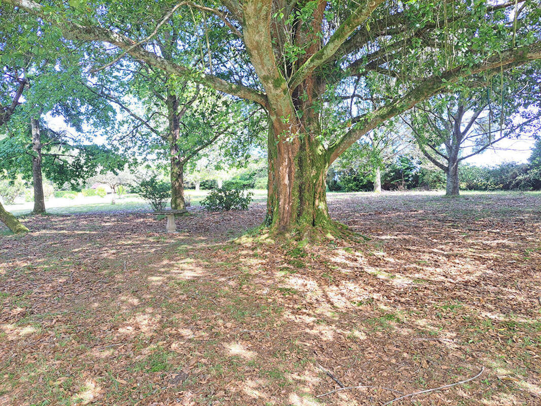 Maison à SAINT-PAUL-LES-DAX