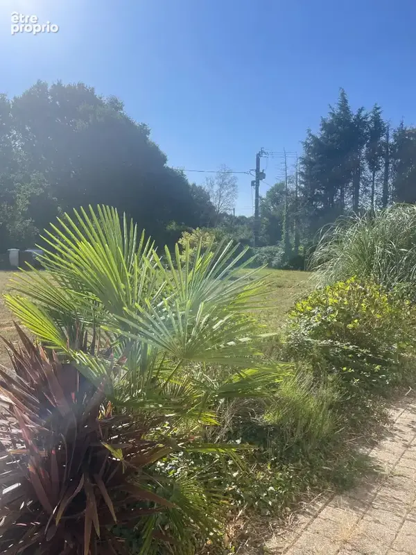 EXCLUSIVITE - Accès rapide Dinan, Maison de plain-pied sur son grand jardin - photo 5