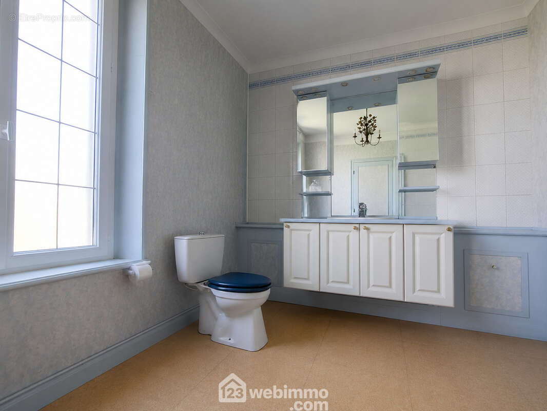 Une salle d'eau avec douche, vasque sur meuble et WC - Maison à MONT-NOTRE-DAME