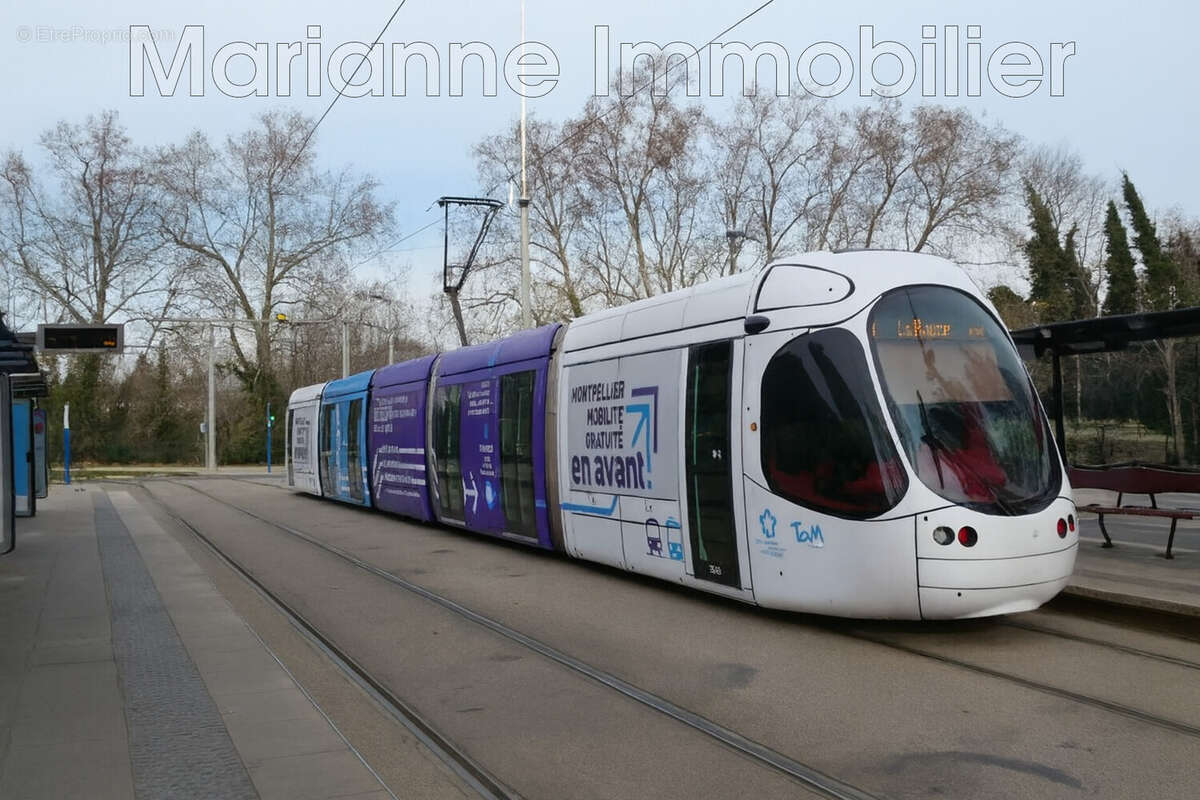 Appartement à MONTPELLIER