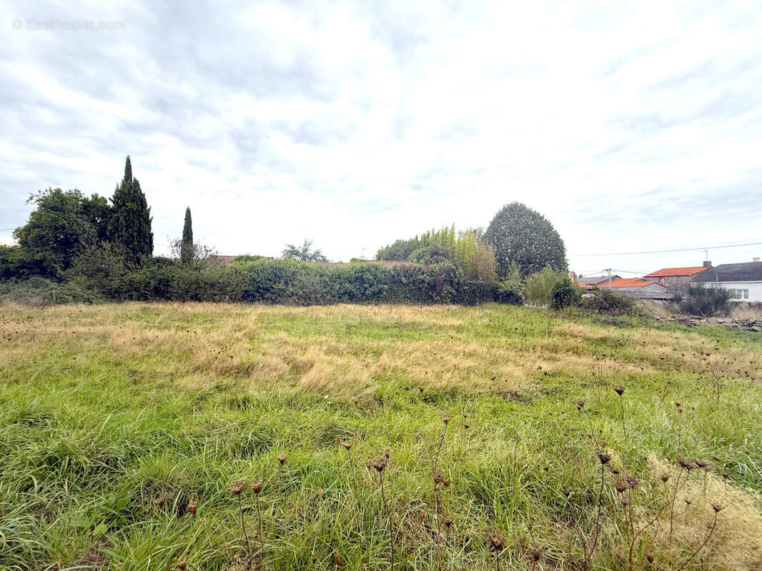 Terrain à AIGREFEUILLE-SUR-MAINE