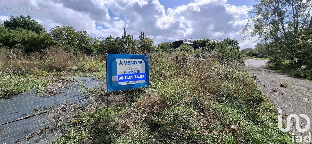 Photo 5 - Terrain à LACHAMBRE