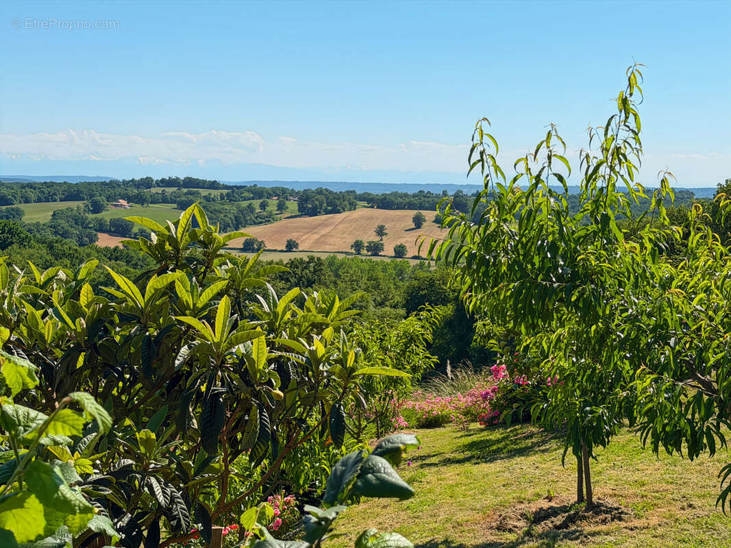 Maison à vendre MARCIAC (32) - 175 m2 de surface habitable - Terrain 4392 m2 - Vue Pyrénées - photo 29