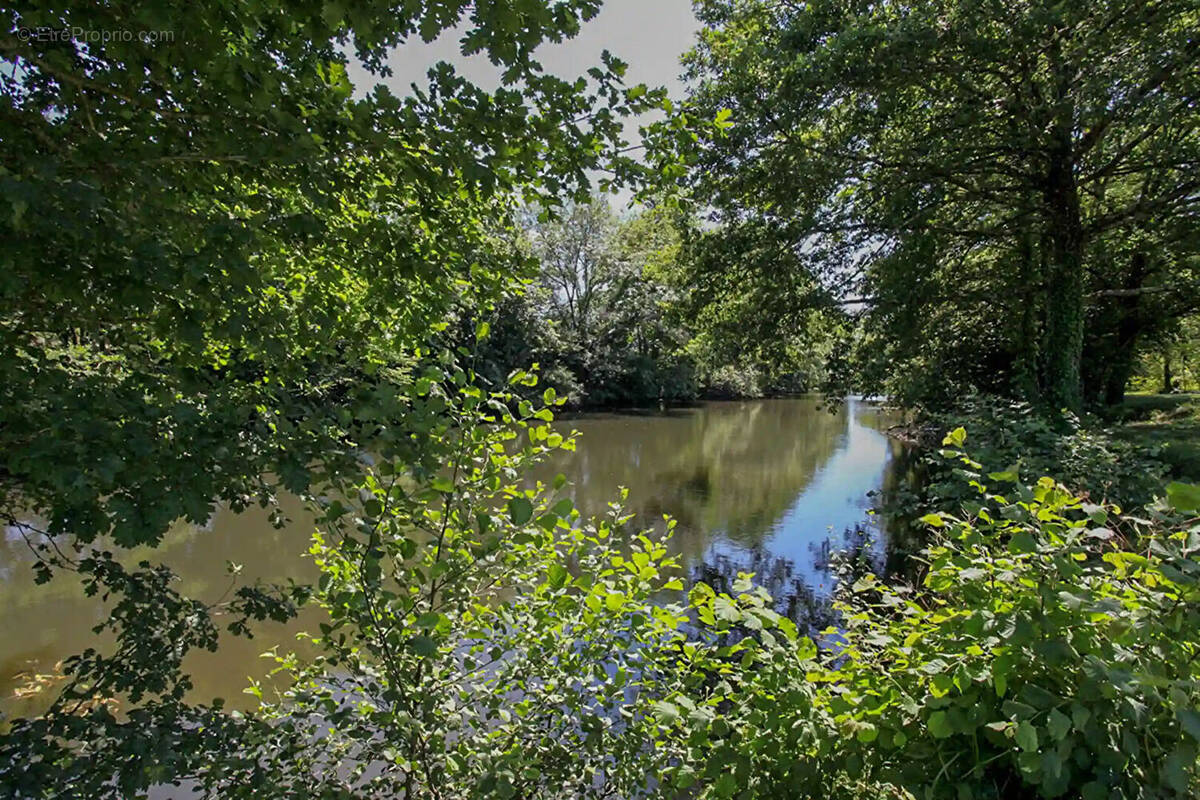 Terrain à BASSILLAC