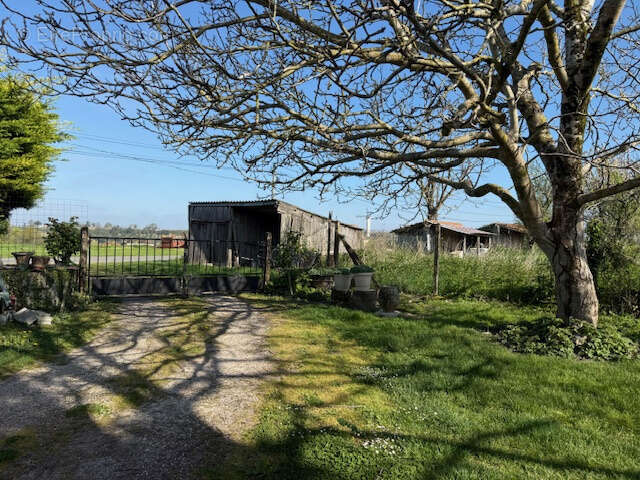 Maison à SAINT-THOMAS-DE-CONAC