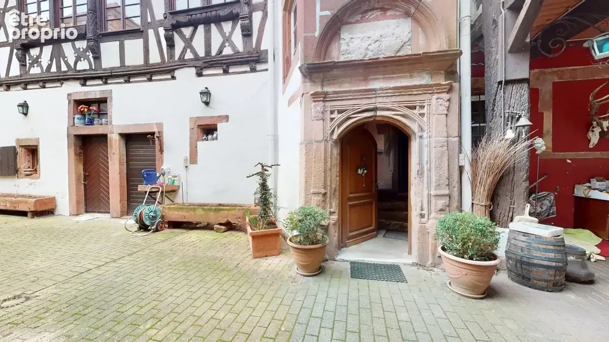 Maison 20 pièces 650 m² à vendre à Wissembourg (67160) - photo 4