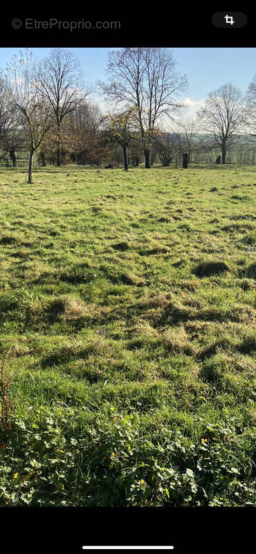 Terrain à HAUTEVILLE