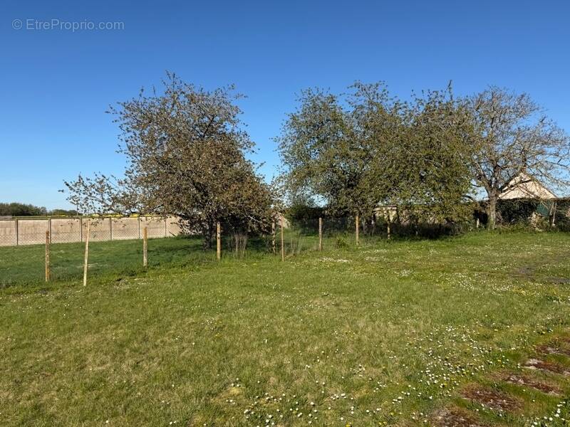Terrain à AUNEAU