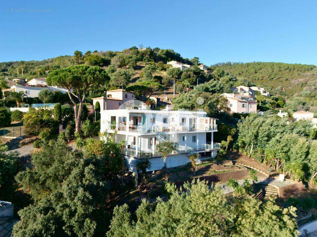 Maison à MANDELIEU-LA-NAPOULE