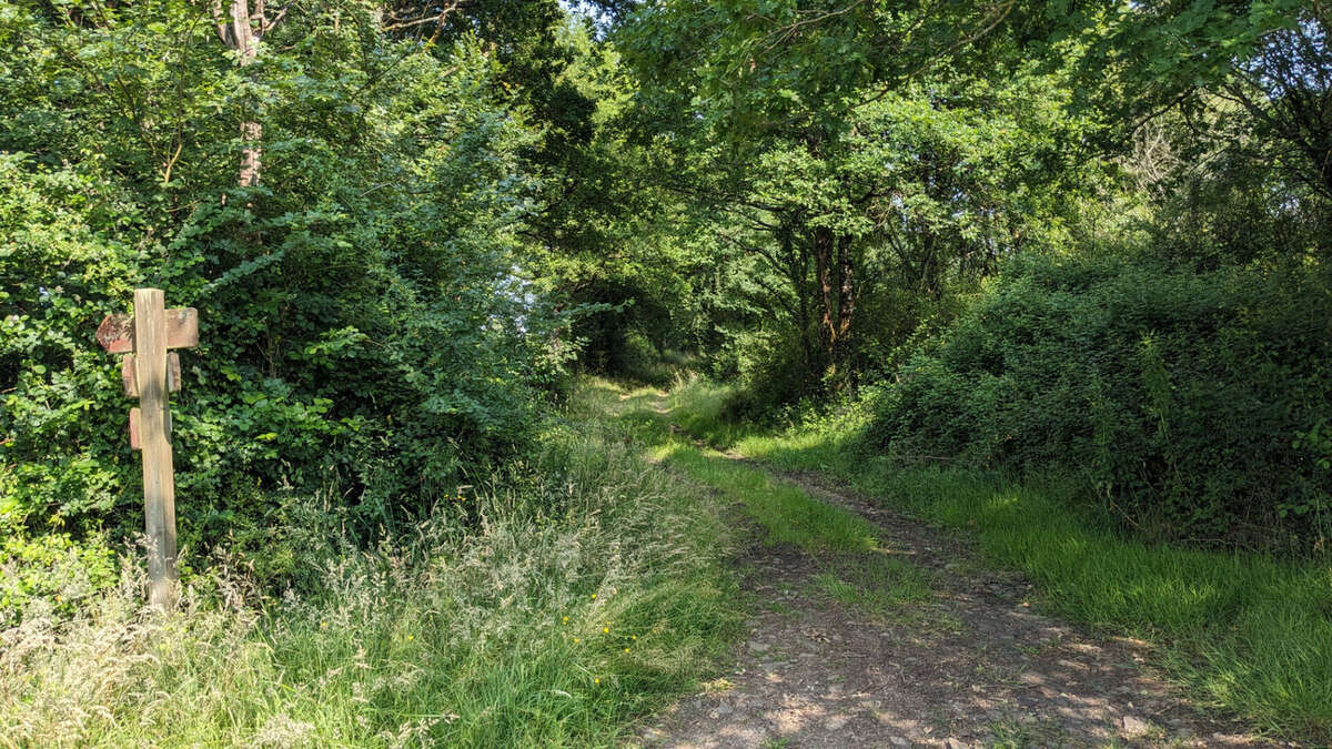 Terrain à USSON-DU-POITOU
