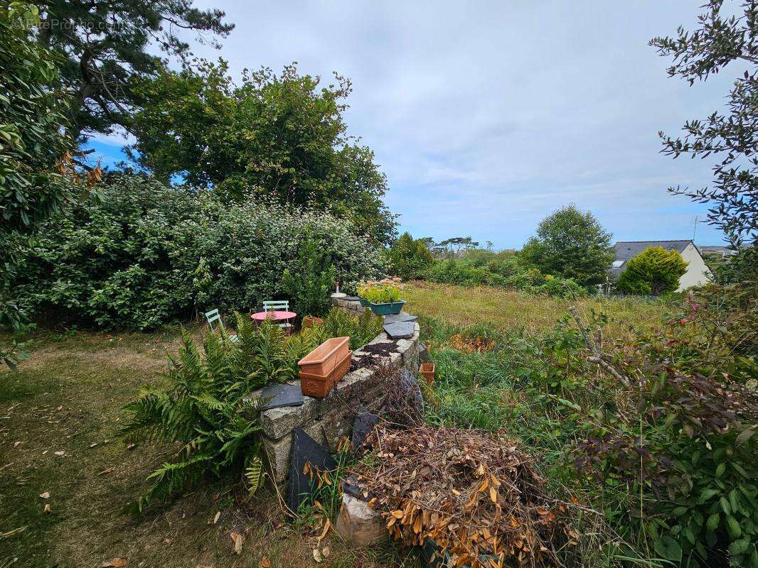 Terrain à TREBEURDEN