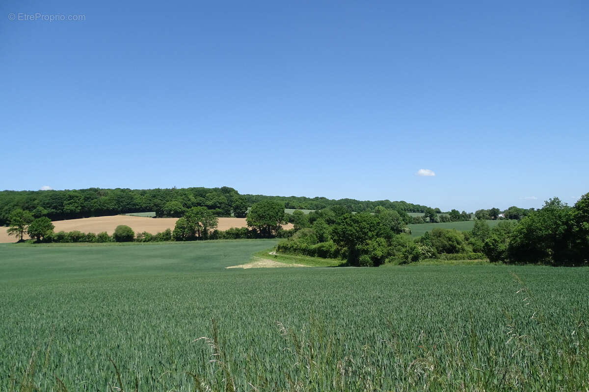 Maison à SAINT-PIERRE-SUR-ORTHE