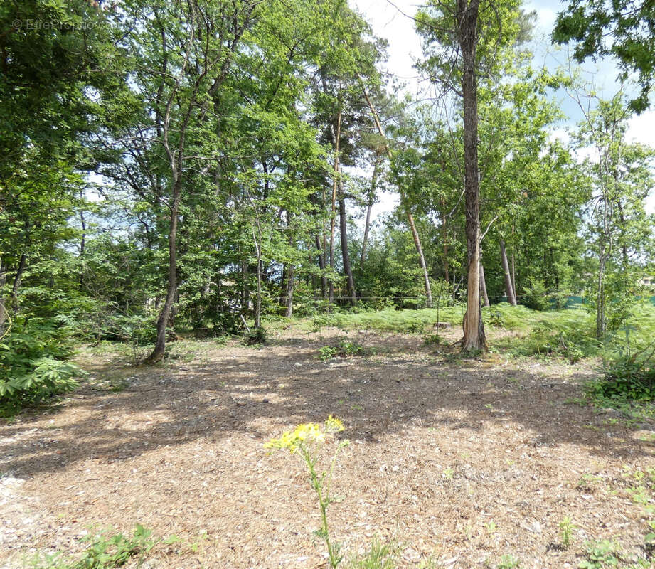 Terrain à MARSAC-SUR-L'ISLE