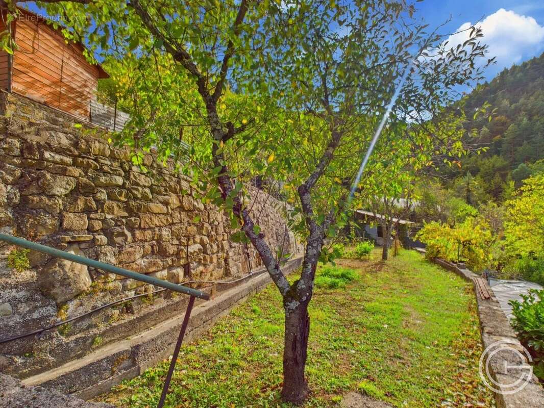 Maison de village à terminer - Terrains - Gorblaou-St-Colomban - Lantosque - photo 12