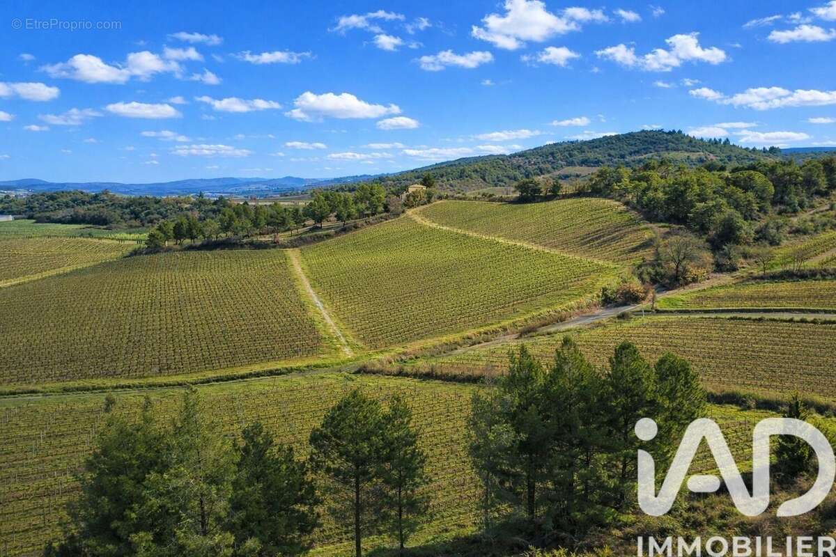 Photo 4 - Maison à LIMOUX