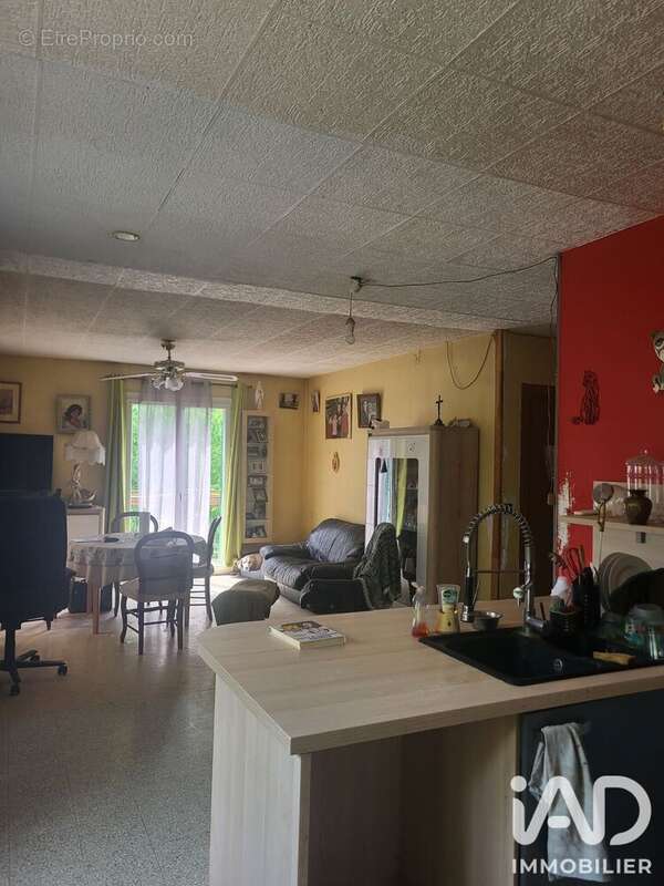 Photo 4