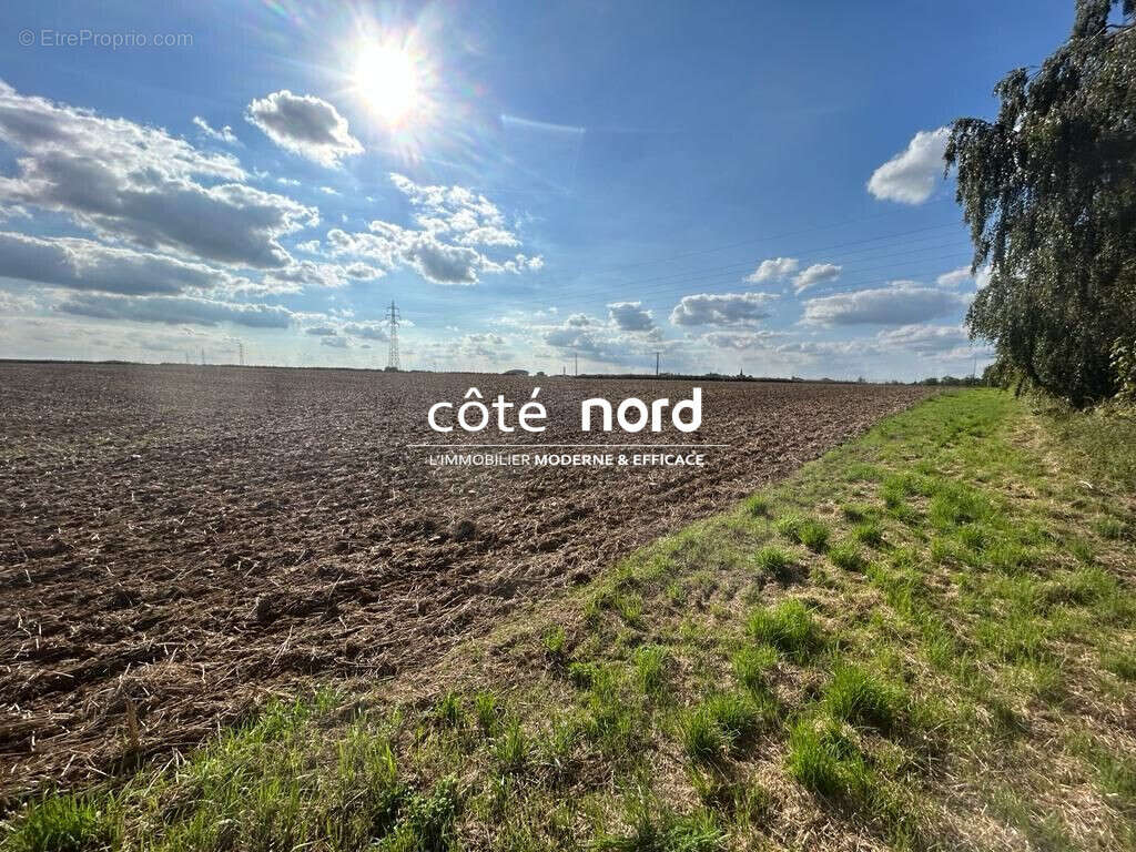Terrain 3793 m² à Caudry  - photo 2