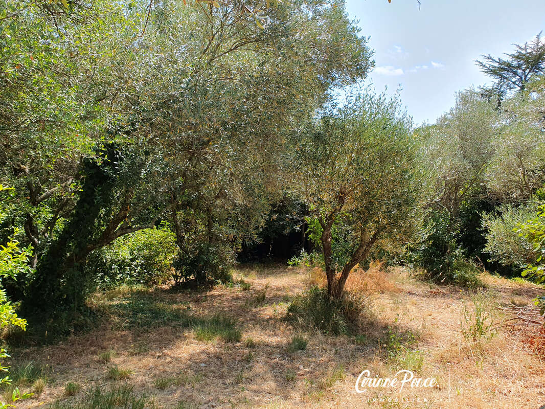 Nîmes mazet agrandi au cœur d'un écrin de garrigue - photo 14