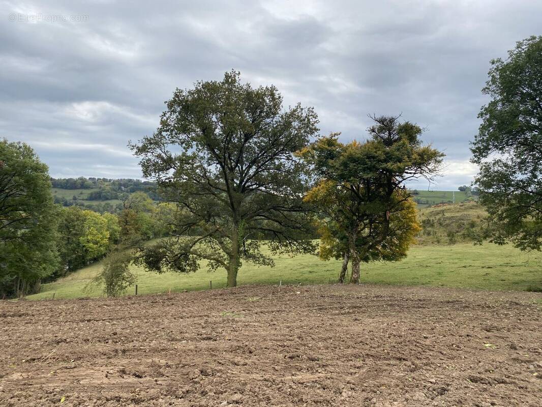 Terrain à AURILLAC