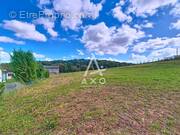 Terrain à SAINT-PAUL