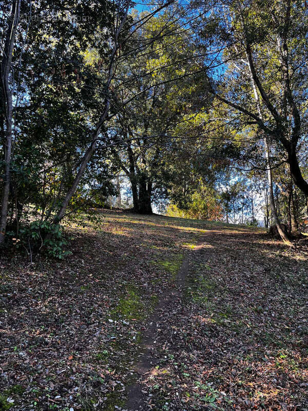 Terrain à CERVIONE