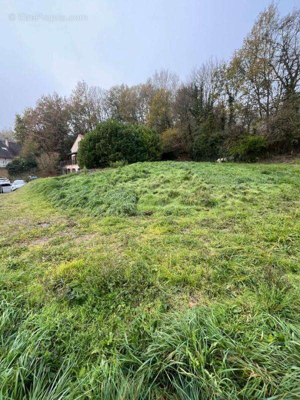 Terrain à CHAMPCEVINEL