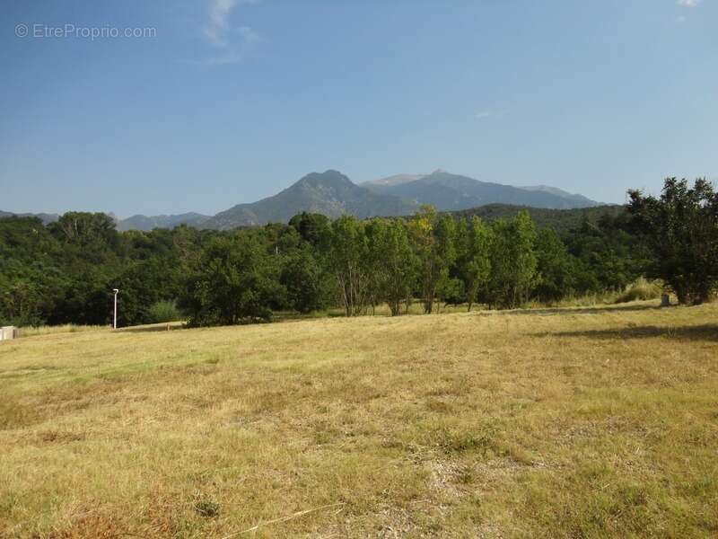 Dpt Pyrénées Orientales (66), à vendre PRADES Terrain constructible 1230 m², 4 faces, libre constructeur - photo 3