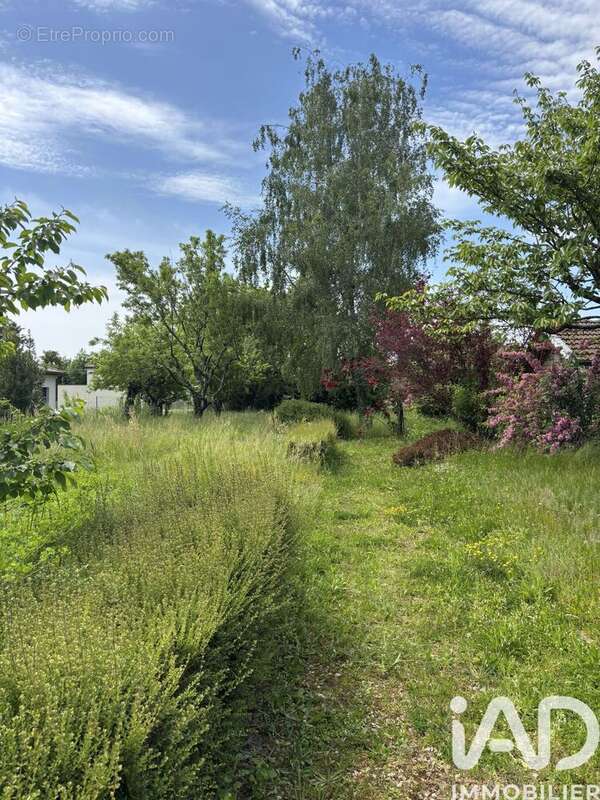 Photo 3 - Maison à CRECHES-SUR-SAONE