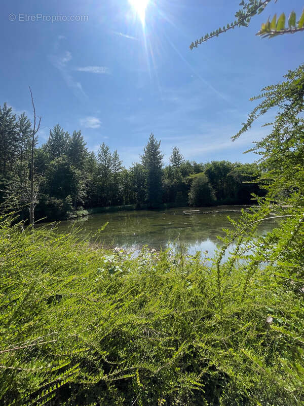 Terrain à FLIXECOURT