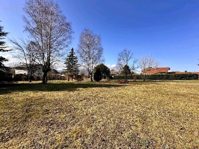 Terrain à NANGY