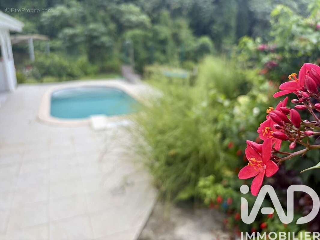 Photo 4 - Maison à GROS-MORNE