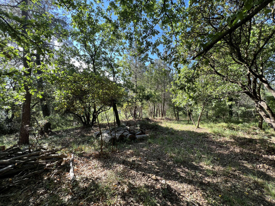 Terrain à SAINT-JEAN-DU-PIN