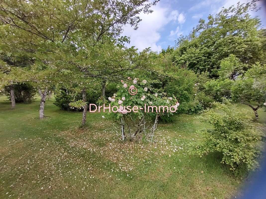 Maison à PELLEVOISIN