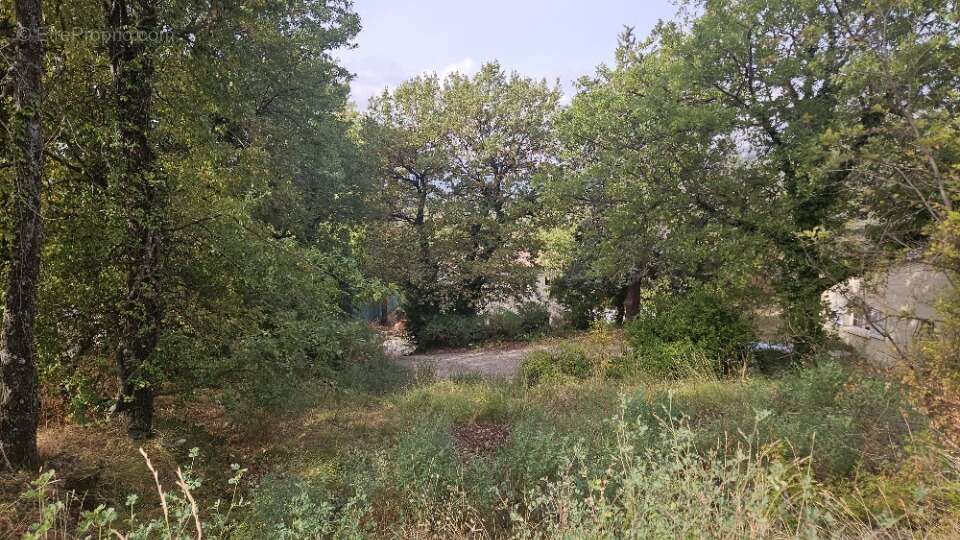 Terrain à SAINT-VALLIER-DE-THIEY