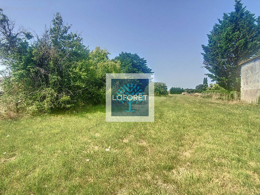 Terrain à SAINT-CIERS-SUR-GIRONDE