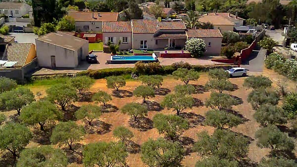 Villa d'exception avec piscine, hangar et oliveraie  Cadre privilégié à Quarante - photo 11