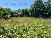 Terrain à GOURNAY-SUR-MARNE